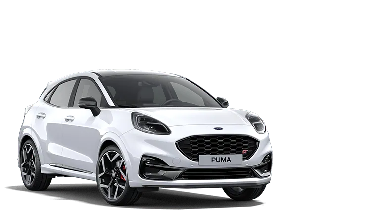 Image puma st